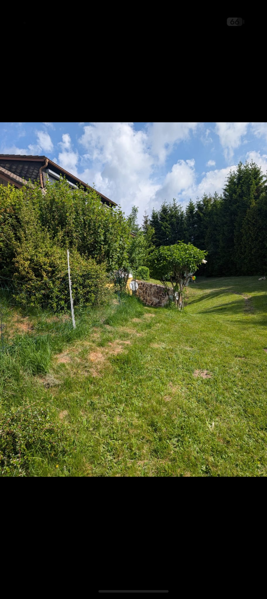 Grünanlagenpflege — Vorher