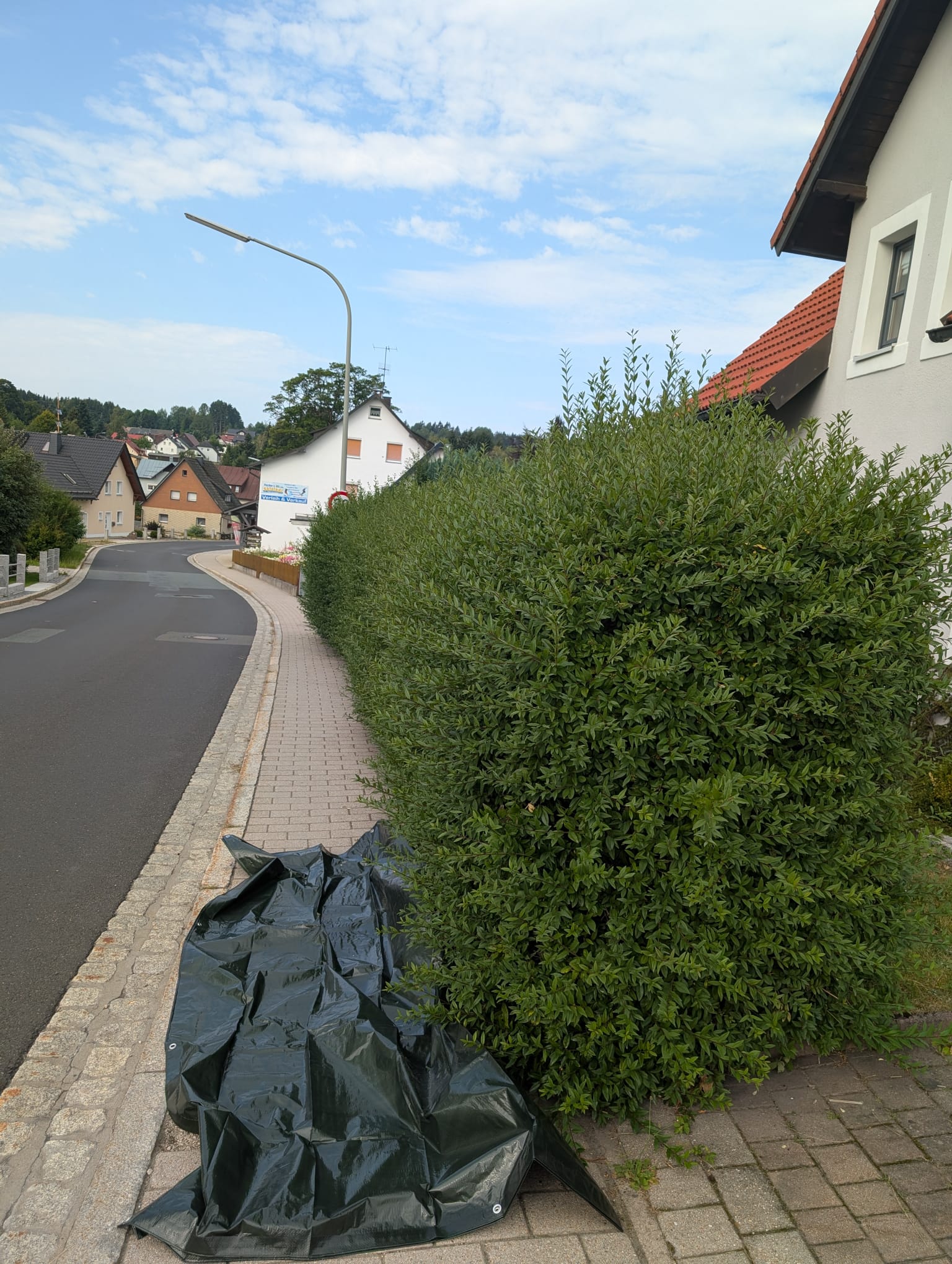 Glasreinigung — Vorher