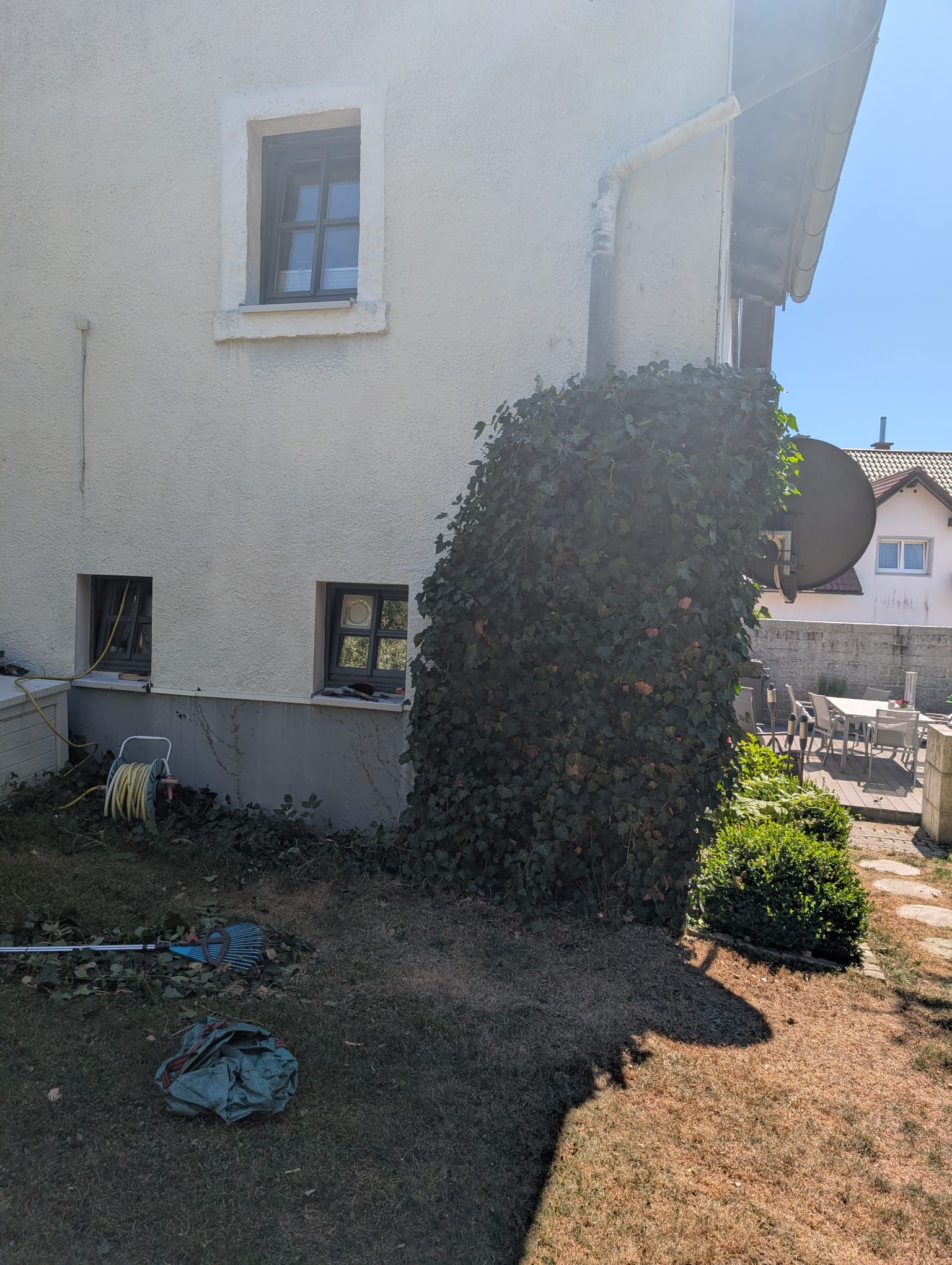 Vorher-Nachher-Vergleich 6 — Nachher