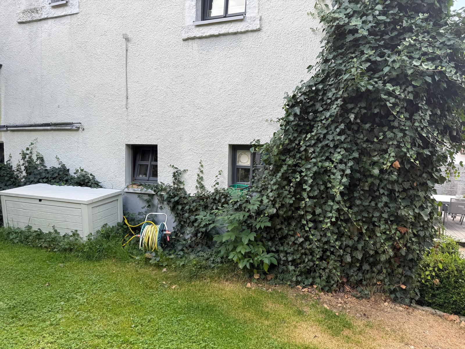 Vorher-Nachher-Vergleich 6 — Vorher